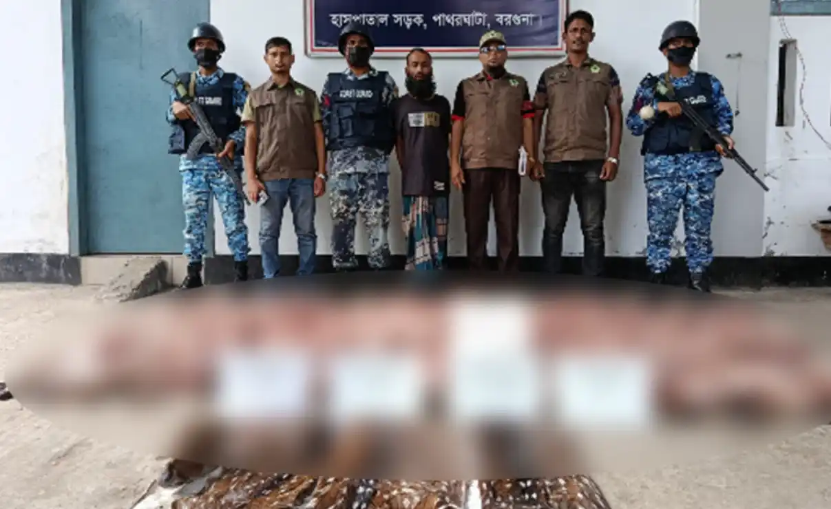 বরগুনায় ৩৫০ কেজি হরিণের মাংস ও চামড়াসহ এক ব্যবসায়ী আটক